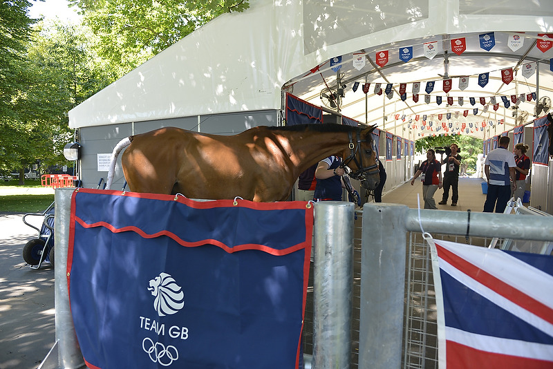 First Olympic horses arrive at Greenwich Park