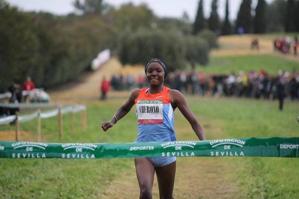 Pointers from IAAF Cross Country Permit