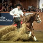 Golds for Belgium, France, Germany and Italy at European and World Reining Championships 2017