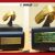 SAFEJAWZ to launch Golden Mouthguard award at 2017 IMMAF World Championships
