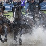 Equestrian sport boosted with allocation of major events through 2021